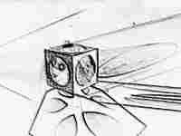 Meine Lieblingsbilder aus Bryce